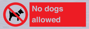 No dogs allowed